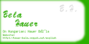 bela hauer business card